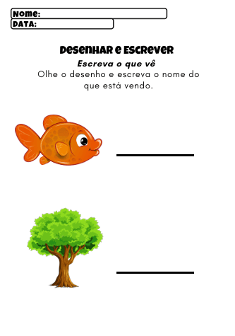 Página interna do material 5